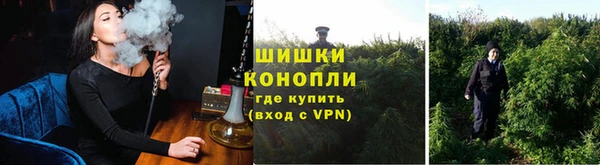 сатива Арсеньев